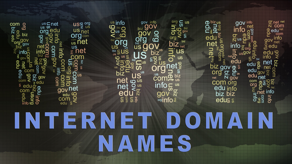 WHOIS Database Download: A Quick Look at the Newly Launched TLDs