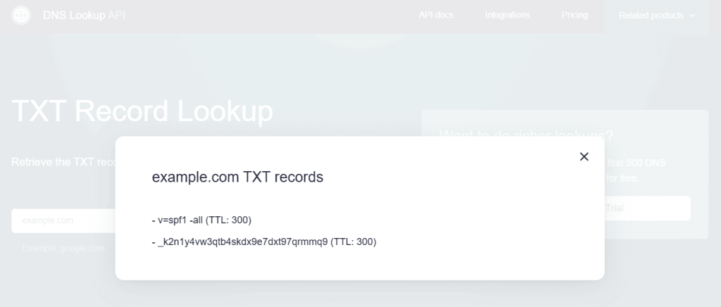 TXT record lookup tool results